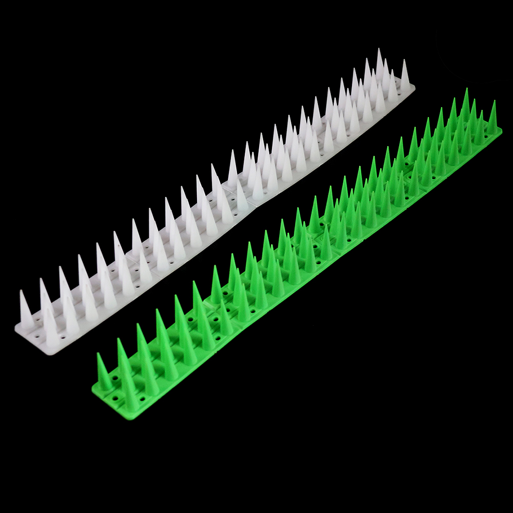 color-pp-bird-spikes