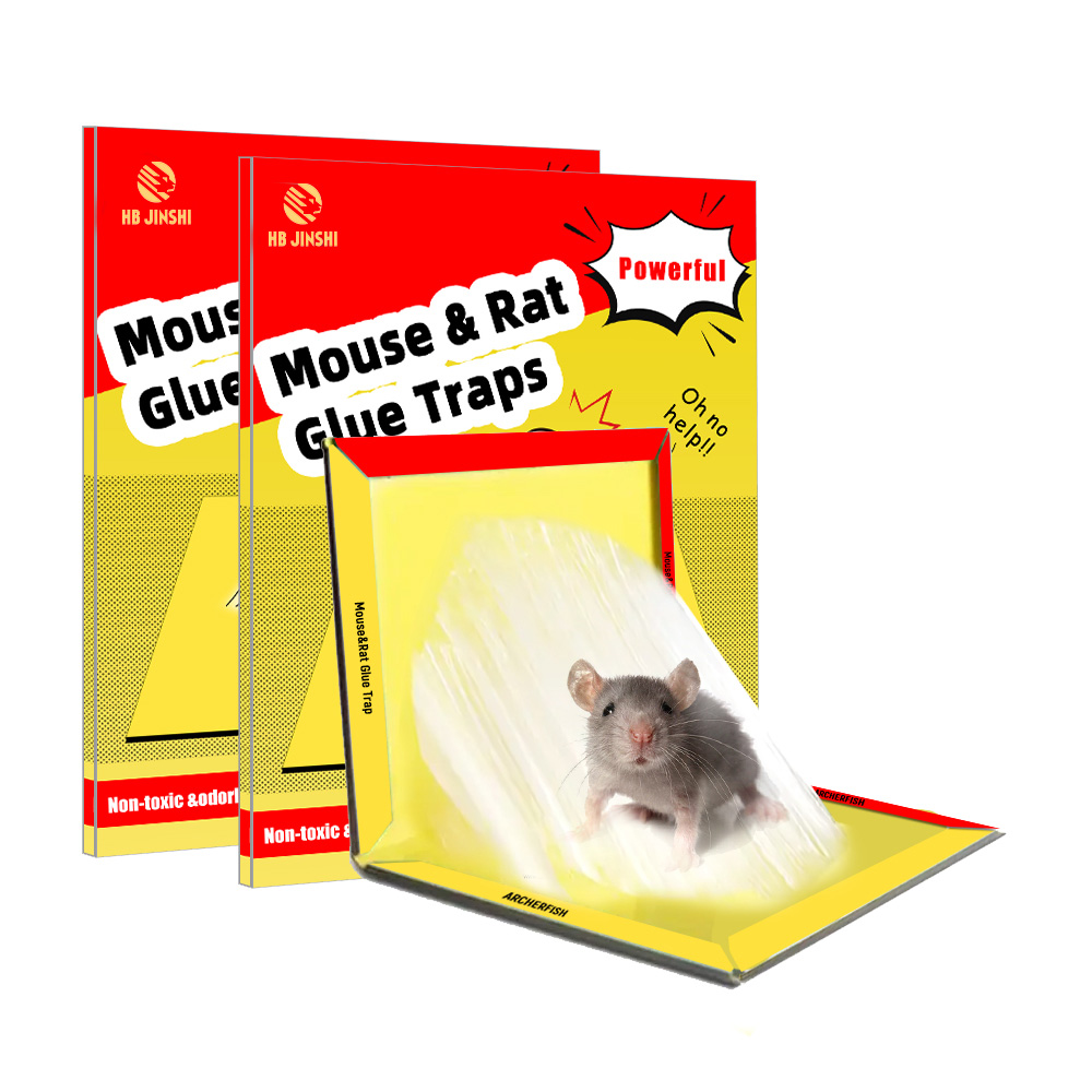 mouse glue traps